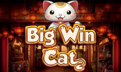 Big Win Cat
