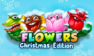Flowers Christmas Edition