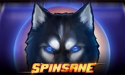 Spinsane